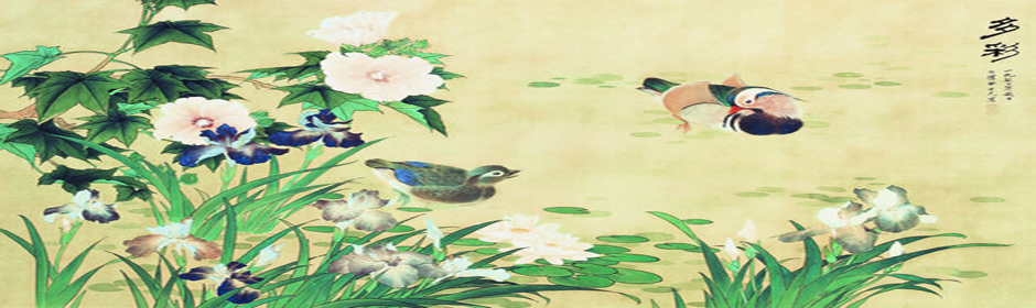 多彩